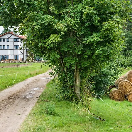 Kupperowka- Stadnina Koni Kolano Szymbark (Pomerania)